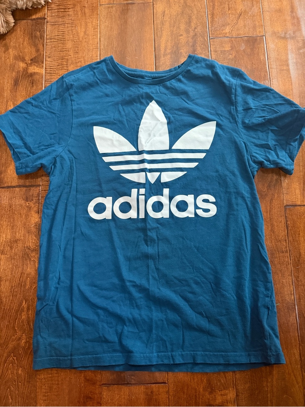 Adidas Trefoil Logo Tee in Blue